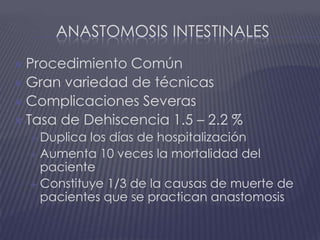 Anastomosis IntestinalesProcedimiento ComúnGran variedad de técnicasComplicaciones SeverasTasa de Dehiscencia 1.5 – 2.2 % Duplica los días de hospitalizaciónAumenta 10 veces la mortalidad del pacienteConstituye 1/3 de la causas de muerte de pacientes que se practican anastomosis