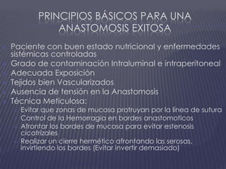 Principios básicos para una anastomosis exitosaPaciente con buen estado nutricional y enfermedades sistémicas controladasGrado de contaminación Intraluminal e intraperitoneal Adecuada ExposiciónTejidos bien VascularizadosAusencia de tensión en la Anastomosis Técnica Meticulosa:Evitar que zonas de mucosa protruyan por la línea de suturaControl de la Hemorragia en bordes anastomoticosAfrontar los bordes de mucosa para evitar estenosis cicatrízalesRealizar un cierre hermético afrontando las serosas, invirtiendo los bordes (Evitar invertir demasiado) 