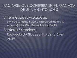 Factores que Contribuyen al Fracaso de una AnastomosisEnfermedades Asociadas:DM Tipo 2, Malnutrición e Hipoalbuminemia ≤3Anemia(Hcto ≤30), QuimioRadiación, EIIFactores Sistémicos:Respuesta de Glucocorticoides al StressAINES