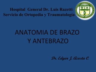 Hospital General Dr. Luis Razetti
Servicio de Ortopedia y Traumatología



      ANATOMIA DE BRAZO
         Y ANTEBRAZO

                        Dr. Edgar J. Acosta C.
 