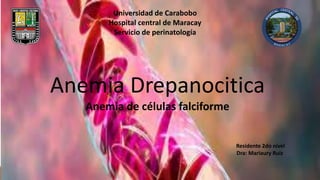 Universidad de Carabobo
Hospital central de Maracay
Servicio de perinatología
Anemia Drepanocitica
Anemia de células falciforme
Residente 2do nivel
Dra: Mariaury Ruiz
 
