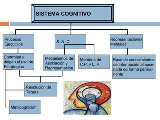 SISTEMA COGNITIVO Mecanismos de Asociación y Representación Procesos Ejecutivos Representaciones Mentales Resolución de Tareas Controlan y dirigen el uso de Estrategias Memoria de C.P. y L. P. Base de conocimientos de información almace- nada de forma perma- nente S. N. C. Metacognición 