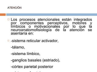 ATENCIÓN Los procesos atencionales están integrados por componentes perceptivos, motores y límbicos o motivacionales por lo que la neuroanatomofisiología de la atención se asentaría en:   - sistema reticular activador,   -tálamo,   -sistema límbico,   -ganglios basales (estriado),   -córtex parietal posterior    -córtex prefrontal.   
