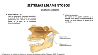 SISTEMAS LIGAMENTOSOS
LIGAMENTOS ACCESORIOS
❖ ESFENOMANDIBULAR:
Tiene su origen en la espina del esfenoides y
se extiende hacia abajo hasta una pequeña
prominencia ósea, situada en la superficie
medial de la rama de la mandíbula,
denominada língula.
❖ ESTILOMANDIBULAR:
Se origina en la apófisis estiloides y se
extiende hacia abajo y hacia delante hasta el
ángulo y el borde posterior de la rama de la
mandíbula
1)Tratamiento de oclusión y afecciones temporomandibulares. Jeffrey P.Okeson, DMD. 7ma edición
 