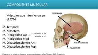 COMPONENTE MUSCULAR
Músculos que intervienen en
el ATM
M. Temporal
M. Masetero
M. Pterigoideo Lat
M. Pterigoideo Med
M. Digástrico,vientre Ant
M. Digástrico,vientre Post
Pterigoideo lat sup
Pterigoideo lat inf
1)Tratamiento de oclusión y afecciones temporomandibulares. Jeffrey P.Okeson, DMD. 7ma edición
 