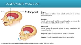 COMPONENTE MUSCULAR
M.Temporal Origen:
Parte lateral del cráneo hasta toda la extensión de la línea
temporal superior
Inserción:
Borde anterior de la apófisis coronoides y borde anterior de
la rama de la mandíbula hasta el último molar
Inervación:
Nervio temporal profundo desde el ramo mandibular del
nervio trigémino
Irrigación: Arterias temporales ant. post. y superficial.
Función: Eleva la mandíbula, participa en la retrusión
1)Tratamiento de oclusión y afecciones temporomandibulares. Jeffrey P.Okeson, DMD. 7ma edición
 