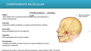 COMPONENTE MUSCULAR
PTERIGOIDEO LATERAL
SUP
Origen:
Parte inferior de la superficie lateral del ala mayor del esfenoides y
cresta infratemporal
Inserción:
Cuello del cóndilo mandibular y margen frontal del disco articular
Inervación:
Ramo pterigoideo del nervio trigémino
Irrigación:
Rama pterigoidea de la arteria maxilar
Movimientos:
Estabiliza el cóndilo y el disco durante la carga mandibular (es decir,
masticación unilateral)
1)Tratamiento de oclusión y afecciones temporomandibulares. Jeffrey P.Okeson, DMD. 7ma edición
 