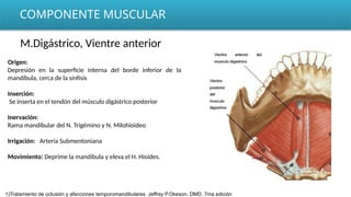 COMPONENTE MUSCULAR
M.Digástrico, Vientre anterior
Origen:
Depresión en la superficie interna del borde inferior de la
mandíbula, cerca de la sínfisis
Inserción:
Se inserta en el tendón del músculo digástrico posterior
Inervación:
Rama mandibular del N. Trigémino y N. Milohioideo
Irrigación: Arteria Submentoniana
Movimiento: Deprime la mandíbula y eleva el H. Hioides.
1)Tratamiento de oclusión y afecciones temporomandibulares. Jeffrey P.Okeson, DMD. 7ma edición
 