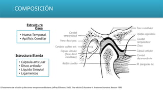 • Hueso Temporal
• Apófisis Condilar
• Cápsula articular
• Disco articular
• Líquido Sinovial
• Ligamentos
Estructura Blanda
Estructura
Ósea
COMPOSICIÓN
1)Tratamiento de oclusión y afecciones temporomandibulares. Jeffrey P.Okeson, DMD. 7ma edición2) Rouviere H. Anatomie Humaine, Masson 1990
 