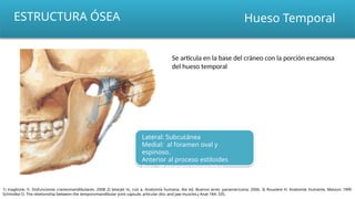 ESTRUCTURA ÓSEA
1) maglione, h. Disfunciones craneomandibulares. 2008 2) latarjet m, ruíz a. Anatomía humana. 4ta ed. Buenos aires: panamericana; 2006. 3) Rouviere H. Anatomie Humaine, Masson 1990
Schmolke O. The relationship between the temporomandibular joint capsule, articular disc and jaw muscles.J Anat 184: 335.
Hueso Temporal
Lateral: Subcutánea
Medial: al foramen oval y
espinoso.
Anterior al proceso estiloides
Post Al proceso cigomático
Se articula en la base del cráneo con la porción escamosa
del hueso temporal
 