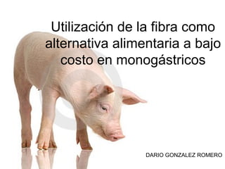 Utilización de la fibra como
alternativa alimentaria a bajo
costo en monogástricos
DARIO GONZALEZ ROMERO
 