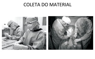 COLETA DO MATERIAL
 