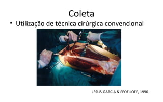 Coleta
• Utilização de técnica cirúrgica convencional




                            JESUS-GARCIA & FEOFILOFF, 1996
 
