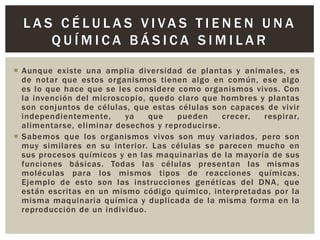 LAS CÉLULAS VIVAS TIENEN UNA
QUÍMICA BÁSICA SIMILAR
 Aunque existe una amplia diversidad de plantas y animales, es
de notar que estos organismos tienen algo en común, ese algo
es lo que hace que se les considere como organismos vivos. Con
la invención del microscopio, quedo claro que hombres y plantas
son conjuntos de células, que estas células son capaces de vivir
independientemente,
ya
que
pueden
crecer,
respirar,
alimentarse, eliminar desechos y reproducirse.
 Sabemos que los organismos vivos son muy variados, pero son
muy similares en su interior. Las células se parecen mucho en
sus procesos químicos y en las maquinarias de la mayoría de sus
funciones básicas. Todas las células presentan las mismas
moléculas para los mismos tipos de reacciones químicas.
Ejemplo de esto son las instrucciones genéticas del DNA, que
están escritas en un mismo código químico, interpretadas por la
misma maquinaria química y duplicada de la misma forma en la
reproducción de un individuo.

 