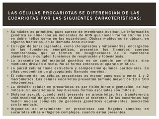 L A S C É L U L A S P R O C A R I O TA S S E D I F E R E N C I A N D E L A S
E U C A R I O TA S P O R L A S S I G U I E N T E S C A R A C T E R Í S T I C A S :
 Su núcleo e s primitivo, pues carece de membrana nucl ear. La informaci ón
genéti ca se al macena en moléculas d e ADN que ti enen forma ci rcular (no
en doble hélice como en las eucariotas) . Dic has moléculas se ubican, en
algunas bacterias, en la llamada zona nuclear.
 En l ugar de tener organel os , como cl oropl astos y mitocondrias, encargados
de las funci ones energéticas, presentan l os ll amados cuerpos
membranosos, que se forman de i nvaginaci ones d e la membrana
plasmática; y cumplen funciones de respiración y fotosíntesi s .
 La transmisi ón del materi al genéti co no se cumple por mitosi s, sino
mediante división directa. No se forma entonces el aparato miótico.
 La pared cel ular tiene estructura y composi ci ón quími ca par ti culares . En
ellas predominan un glucopíptedo llamado mureína.
 El volumen de las célul as procari otas e s menor pues o scila entre 1 y 2
micrómetros . Las células eucari otas presentan tamaño mayor : de 10 a 100
micrómetros .
 La divi si ón celular en procari otas e s por fisi ón binari a gemaci ón, no hay
mitosis. En eucariotas sí hay diver sas formas asociadas con mitosis.
 Sistema sexual, cuando está presente e n procari otas, hay transferencia
unidirecci onal de genes desde el dador al receptor. En l as eucari otas hay
fusi ón nuclear completa d e genomas gaméticos equi valentes, asoci ados
con la meiosis.
 Organel os de movimiento : e n procari otas son flagelos simples; e n
eucariotas cilias o flagelos complejos, cuando están presentes .

 