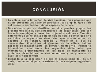 CONCLUSIÓN
 La célula, como la unidad de vida funcional más pequeña que
existe, presenta una serie de características propias, que a raíz
del presente seminario, fuimos capaces de conocer.
 Descubrimos que se clasifican en dos grandes grupos, las
procariontes (sin núcleo verdadero) y las eucariontes, que son
las más complejas y presentan organelos celulares. También
entendimos que no existe solo un tipo de célula común que vive
en todos los organismos vivos, sino que existen varios, de
acuerdo a su función, especie y medio en el que se
desenvuelve. Conocimos el genoma de la célula, fuimos
capaces de indagar sobre los compartimentos y el transporte
intracelular, analizamos los organelos delimitados por
membrana, profundizamos en los tipos de transporte de
proteínas, describimos las vías secretoras y los procesos de
exocitosis y endocitosis.
 Llegando a la conclusión de que la célula como tal, es sin
duda, fundamental para la existencia de cualquier organismo
vivo.

 