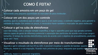 COMO É FEITA?
• Colocar cada amostra em um poço do gel
Misturando uma pequena quantidade de marcador de peso molecular.
• Colocar em um dos poços um controle
positivo, que é a substância que se sabe o que é, e em outro poço, o controle negativo, para garantir a
validade da reação. Em ambos os poços, é necessário haver também o marcador de peso molecular
• Colocar o gel na cuba de eletroforese
caso não esteja, com a solução tampão específica, e ligar o aparelho para que seja gerada corrente
elétrica capaz de gerar de diferença potencial e separação das partículas de acordo com a sua carga e
tamanho. O tempo da corrida eletroforética varia de acordo com o objetivo do procedimento, podendo
durar até 1 hora
• Visualizar o resultado da eletroforese por meio do transiluminador
Quando o gel é colocado sob luz UV ou LED, é possível visualizar o padrão de bandas: quanto maior a
molécula, menor é a sua migração, ficando mais próximo do poço, enquanto que quanto mais leve for
a
molécula, maior é o potencial migratório.
 