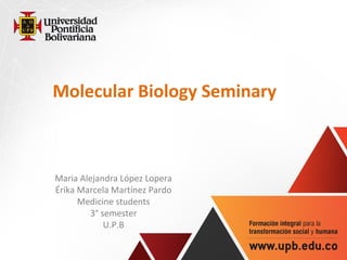 Molecular Biology Seminary
Maria Alejandra López Lopera
Érika Marcela Martínez Pardo
Medicine students
3° semester
U.P.B
 