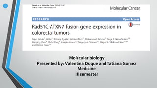 Molecular biology
Presented by:Valentina Duque andTatiana Gomez
Medicine
III semester
 