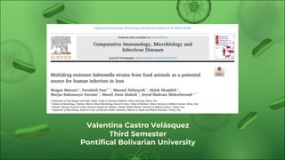 Valentina Castro Velásquez
Third Semester
Pontifical Bolivarian University
 