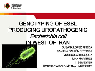 GENOTYPING OF ESBL 
PRODUCING UROPATHOGENIC 
Escherichia coli 
IN WEST OF IRAN 
SUSANA LÓPEZ PINEDA 
DANIELA GALLÓN ESTRADA 
MOLECULAR BIOLOGY 
LINA MARTINEZ 
III SEMESTER 
PONTIFICIA BOLIVARIANA UNIVERSITY 
 