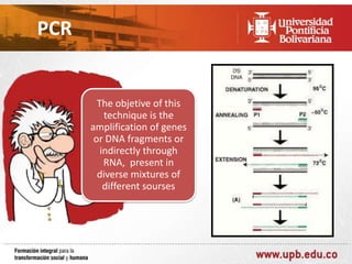 PCR

The objetive of this
technique is the
amplification of genes
or DNA fragments or
indirectly through
RNA, present in
diverse mixtures of
different sourses

 