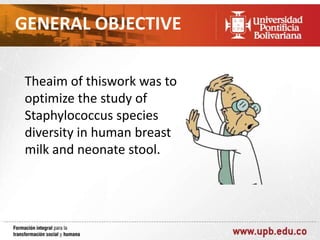 GENERAL OBJECTIVE
Theaim of thiswork was to
optimize the study of
Staphylococcus species
diversity in human breast
milk and neonate stool.

 