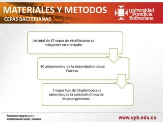 MATERIALES Y METODOS
CEPAS BACTERIANAS

Un total de 47 cepas de estafilococos se

incluyeron en el estudio

40 aislamientos de la Autoridad de salud
Fracesa

7 cepas tipo de Staphylococcus
obtenidos de la colección Checa de
Microorganismos.

 
