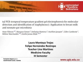 Laura Montoya Trejos
Felipe Hernández Restrepo
Teacher Lina Martínez
Medicine Faculty
III Semester

 