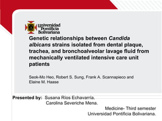 Genetic relationships between  Candida albicans  strains isolated from dental plaque, trachea, and bronchoalveolar lavage fluid from mechanically ventilated intensive care unit patients Seok-Mo Heo, Robert S. Sung, Frank A. Scannapieco and Elaine M. Haase Presented by:  Susana Ríos Echavarría. Carolina Severiche Mena. Medicine- Third semester Universidad Pontificia Bolivariana. 