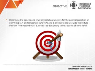 OBJECTIVE



   Determine the genetic and environmental parameters for the optimal secretion of
    enzymes β-1,4-endoglucanase (Endo5A) and β-glucosidase (Gluc1C) to the culture
    medium from recombinant E. coli to see its capacity to be a source of bioethanol
 