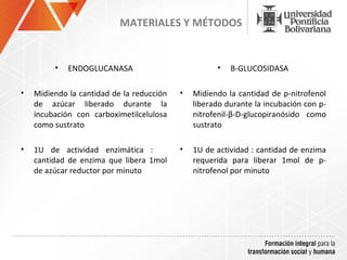 MATERIALES Y MÉTODOS


         •   ENDOGLUCANASA                           •   B-GLUCOSIDASA

•   Midiendo la cantidad de la reducción   •   Midiendo la cantidad de p-nitrofenol
    de azúcar liberado durante la              liberado durante la incubación con p-
    incubación con carboximetilcelulosa        nitrofenil-β-D-glucopiranósido como
    como sustrato                              sustrato

•   1U de actividad enzimática :           •   1U de actividad : cantidad de enzima
    cantidad de enzima que libera 1mol         requerida para liberar 1mol de p-
    de azúcar reductor por minuto              nitrofenol por minuto
 
