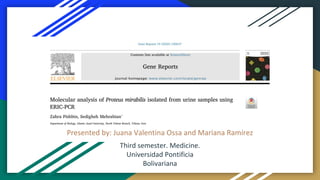 Presented by: Juana Valentina Ossa and Mariana Ramírez
Third semester. Medicine.
Universidad Pontificia
Bolivariana
 