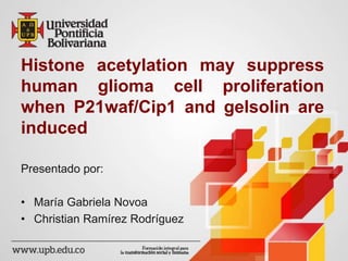 Histone acetylation may suppress 
human glioma cell proliferation 
when P21waf/Cip1 and gelsolin are 
induced 
Presentado por: 
• María Gabriela Novoa 
• Christian Ramírez Rodríguez 
 