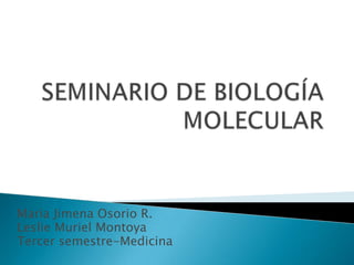 Maria Jimena Osorio R.
Leslie Muriel Montoya
Tercer semestre-Medicina
 