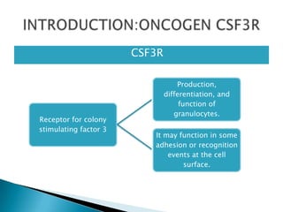 Receptor for colony
stimulating factor 3
Production,
differentiation, and
function of
granulocytes.
It may function in some
adhesion or recognition
events at the cell
surface.
 CSF3R
 