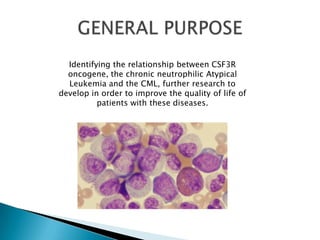 Identifying the relationship between CSF3R
oncogene, the chronic neutrophilic Atypical
Leukemia and the CML, further research to
develop in order to improve the quality of life of
patients with these diseases.
 