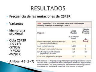  Frecuencia de las mutaciones de CSF3R
 Variantes
 Membrana
proximal
 Cola CSF3R
-D771fs
-S783fs
-Y752X
-W791X
 Ambos 5 (3-7)
 
