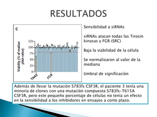 Sensibilidad a siRNAs
siRNAs atacan todas las Tirosin
kinasas y FGR (SRC)
Baja la viabilidad de la célula
Se normalizaron al valor de la
mediana
Umbral de significación
Además de llevar la mutación S783fs CSF3R, el paciente 3 tenía una
minoría de clones con una mutación compuesta S783fs-T615A
CSF3R, pero este pequeño porcentaje de células no tenía un efecto
en la sensibilidad a los inhibidores en ensayos a corto plazo.
 