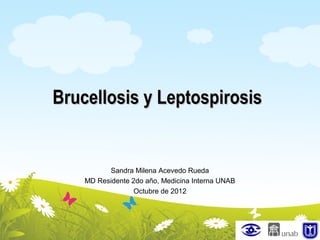 Brucellosis y Leptospirosis


          Sandra Milena Acevedo Rueda
    MD Residente 2do año, Medicina Interna UNAB
                  Octubre de 2012
 