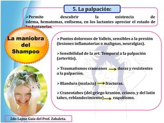 Permite descubrir la existencia de
edema, hematomas, enfisema, en los lactantes apreciar el estado de
las fontanelas.
5. La palpación:
Puntos dolorosos de Valleix, sensibles a la presión
(lesiones inflamatorias o malignas, neuralgias).
Sensibilidad de la art. Temporal a la palpación
(arteritis).
Traumatismos craneanos duras y resistentes
a la palpación.
Blandura (malacia) fracturas.
Craneotabes (del griego kranion, cráneo, y del latín
tabes, reblandecimiento) raquitismo.
La maniobra
del
Shampoo
2do Lapso Guía del Prof. Zabaleta.
 