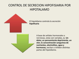 CONTROL DE SECRECION HIPOFISIARIA POR
            HIPOTALAMO


            El hipotálamo controla la secreción
            hipofisaria




                   A base de señales hormonales o
                   nerviosas, estas son variadas, ej. Un
                   dolor, un pensamiento deprimente, un
                   olor, la concentración sanguínea de
                   nutrientes, electrolitos, agua y
                   hormonas, excitan o inhiben distintas
                   partes del hipotálamo.
 
