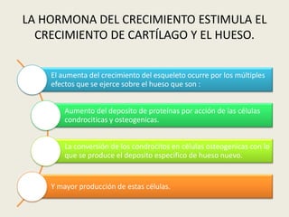 LA HORMONA DEL CRECIMIENTO ESTIMULA EL
  CRECIMIENTO DE CARTÍLAGO Y EL HUESO.


    El aumenta del crecimiento del esqueleto ocurre por los múltiples
    efectos que se ejerce sobre el hueso que son :


        Aumento del deposito de proteínas por acción de las células
        condrociticas y osteogenicas.


        La conversión de los condrocitos en células osteogenicas con lo
        que se produce el deposito especifico de hueso nuevo.


    Y mayor producción de estas células.
 