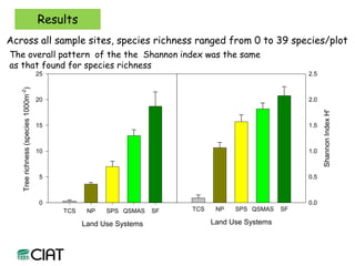 Carbon and tree diversity in agricultural systems in Nicaragua: do trees really make a difference?