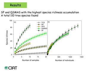Carbon and tree diversity in agricultural systems in Nicaragua: do trees really make a difference?