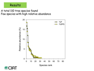 Carbon and tree diversity in agricultural systems in Nicaragua: do trees really make a difference?