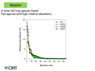 Carbon and tree diversity in agricultural systems in Nicaragua: do trees really make a difference?