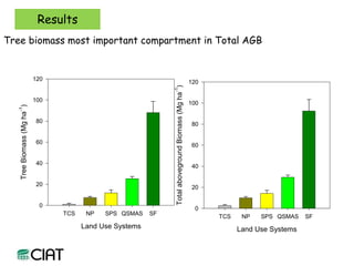 Carbon and tree diversity in agricultural systems in Nicaragua: do trees really make a difference?