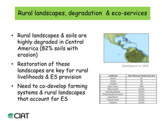 Carbon and tree diversity in agricultural systems in Nicaragua: do trees really make a difference?