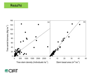 Carbon and tree diversity in agricultural systems in Nicaragua: do trees really make a difference?